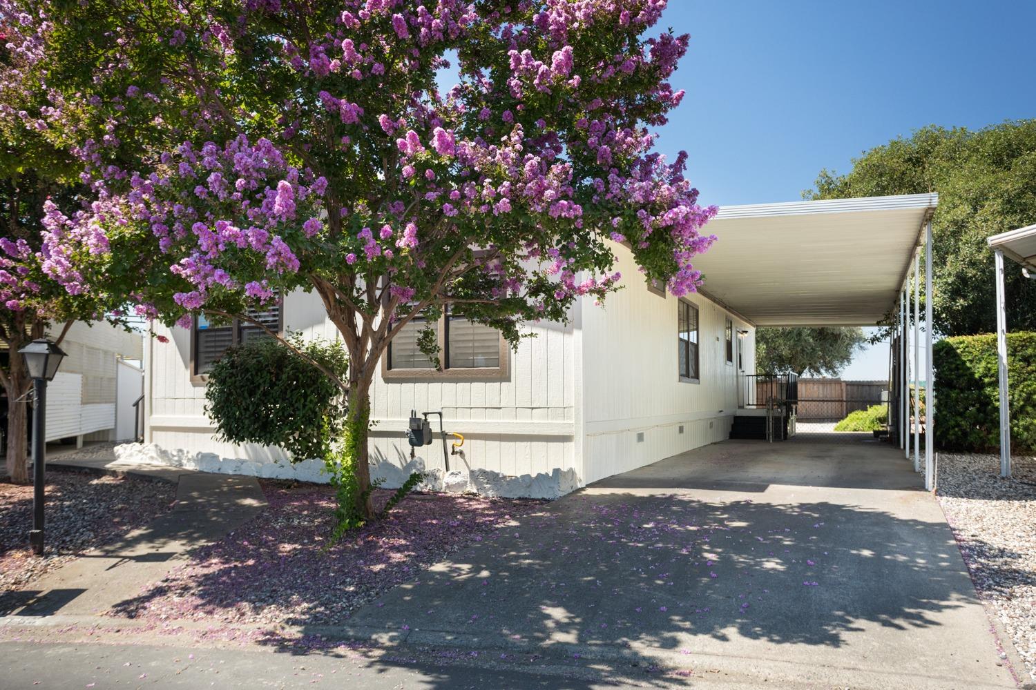 a view of a house with a tree