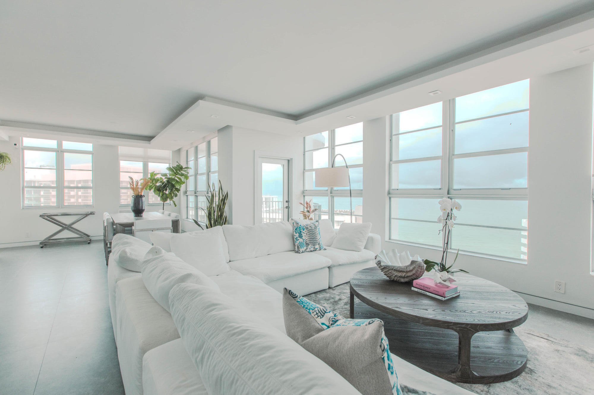 a living room with furniture and a potted plant