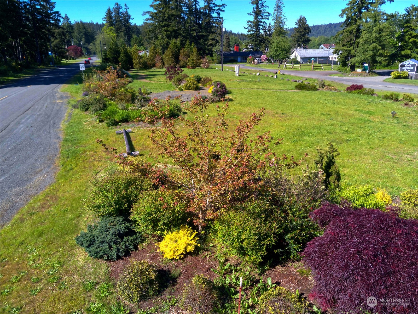 a view of a garden with an outdoor space