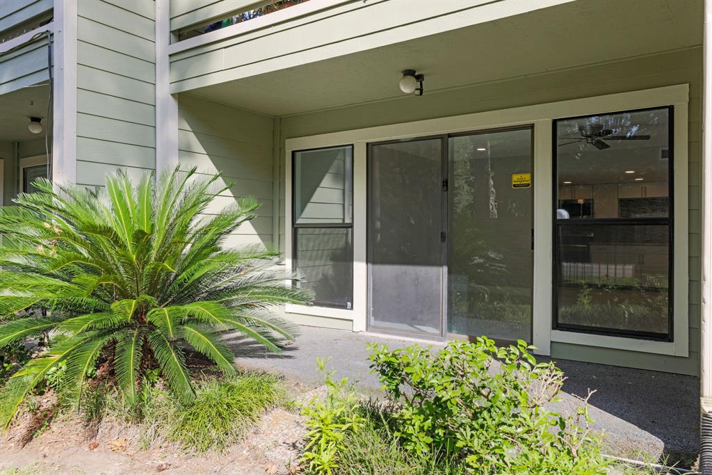 a potted plant is sitting in front of a house