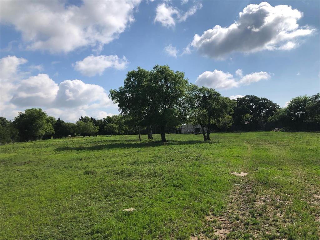 a view of a grassy field