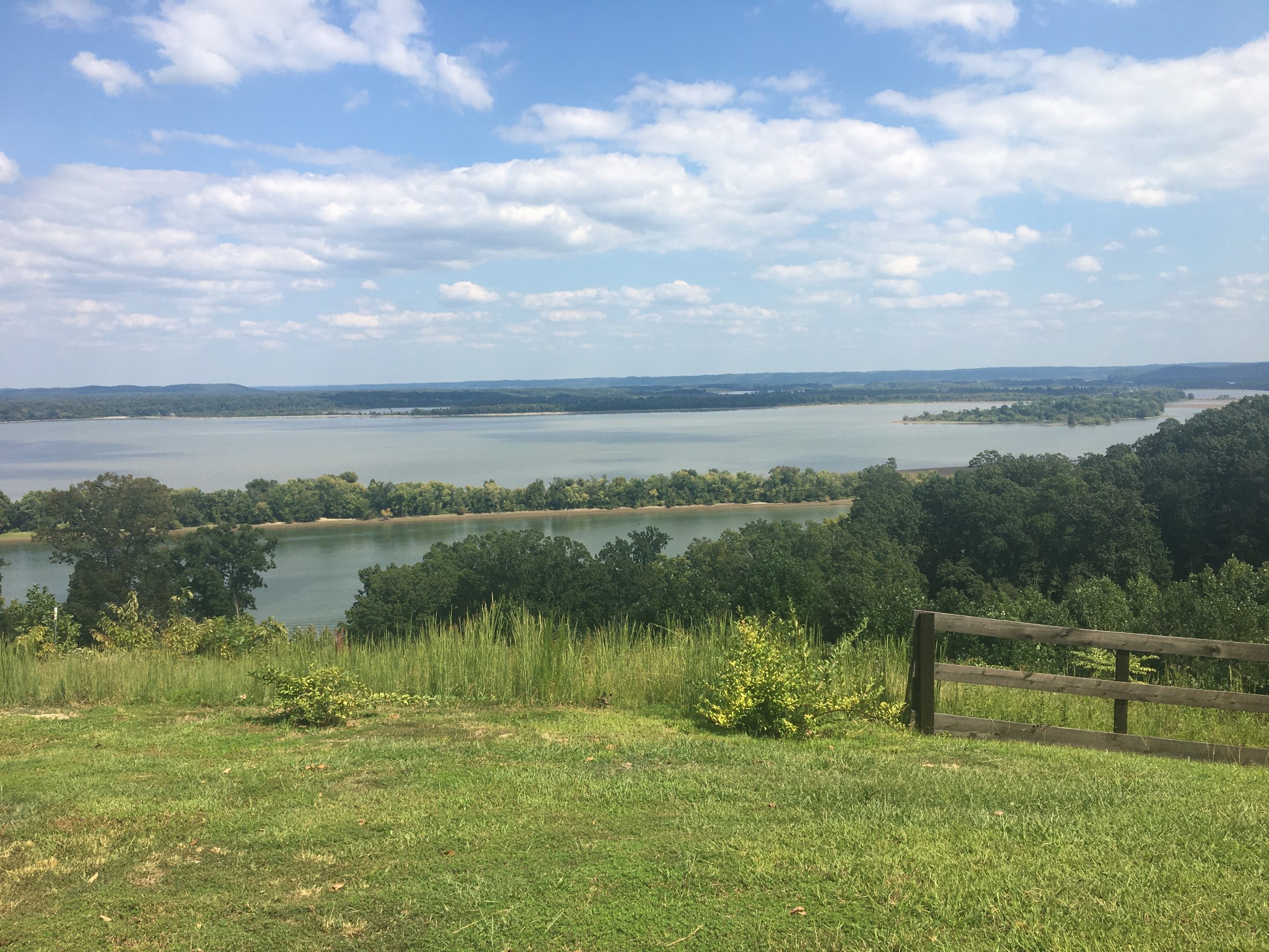 a view of a lake from a yard