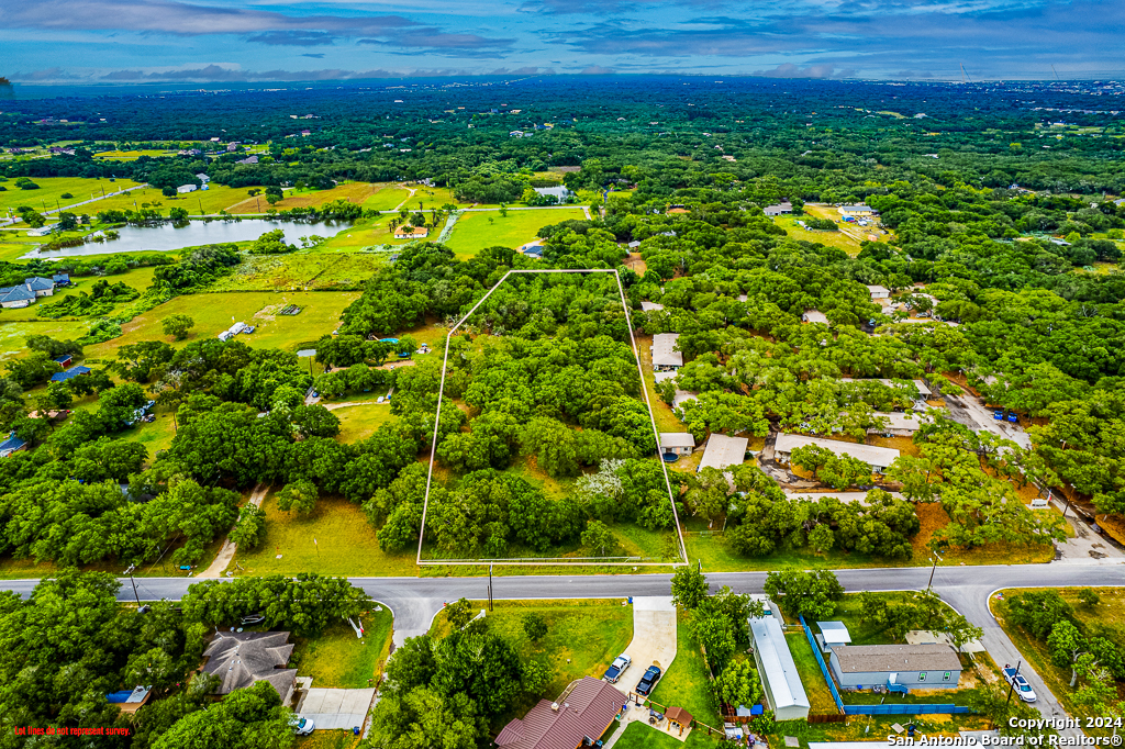 a view of a large yard with plants and large trees