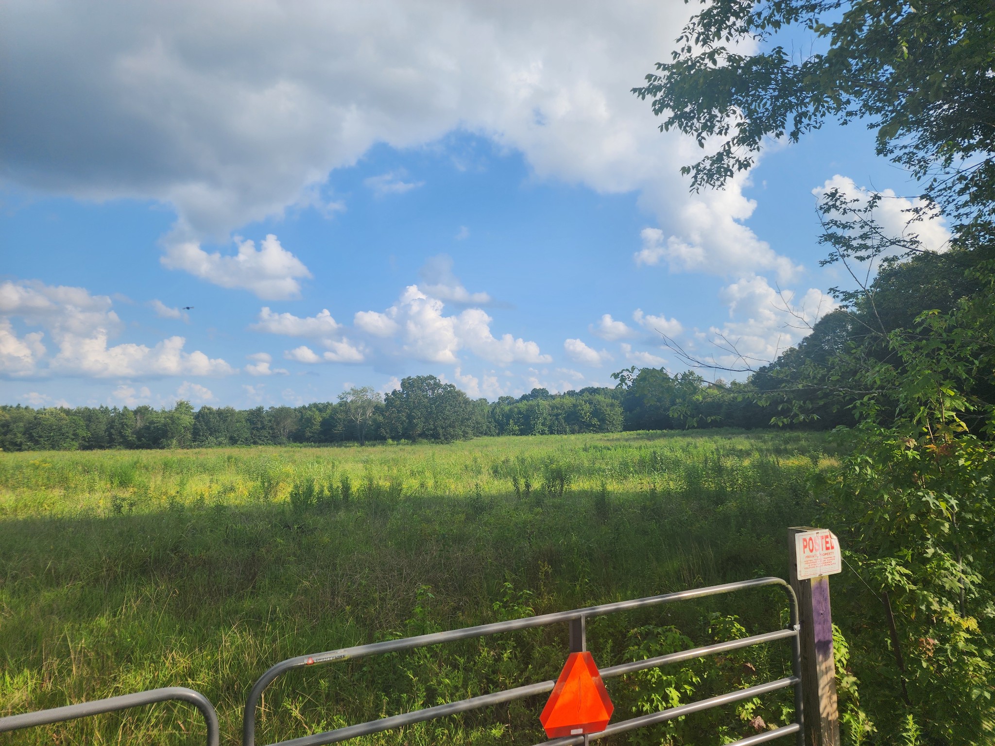 a view of a lake from a yard