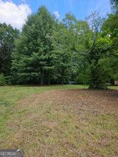 a view of outdoor space and yard