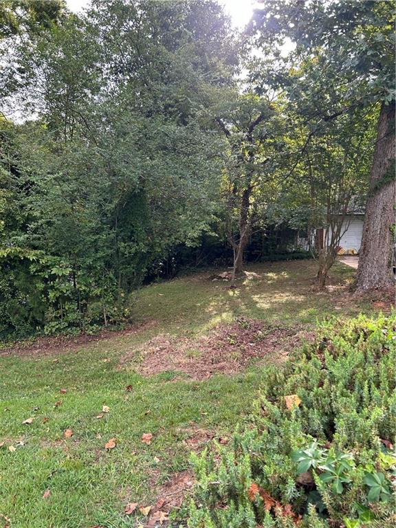 a view of a backyard with large trees