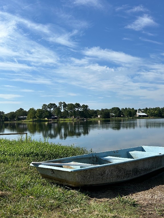 a view of a lake with a mountain