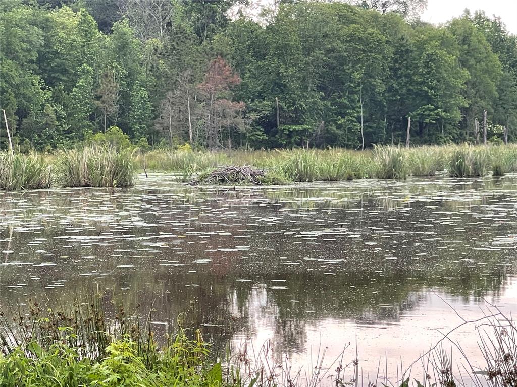 a view of a lake view