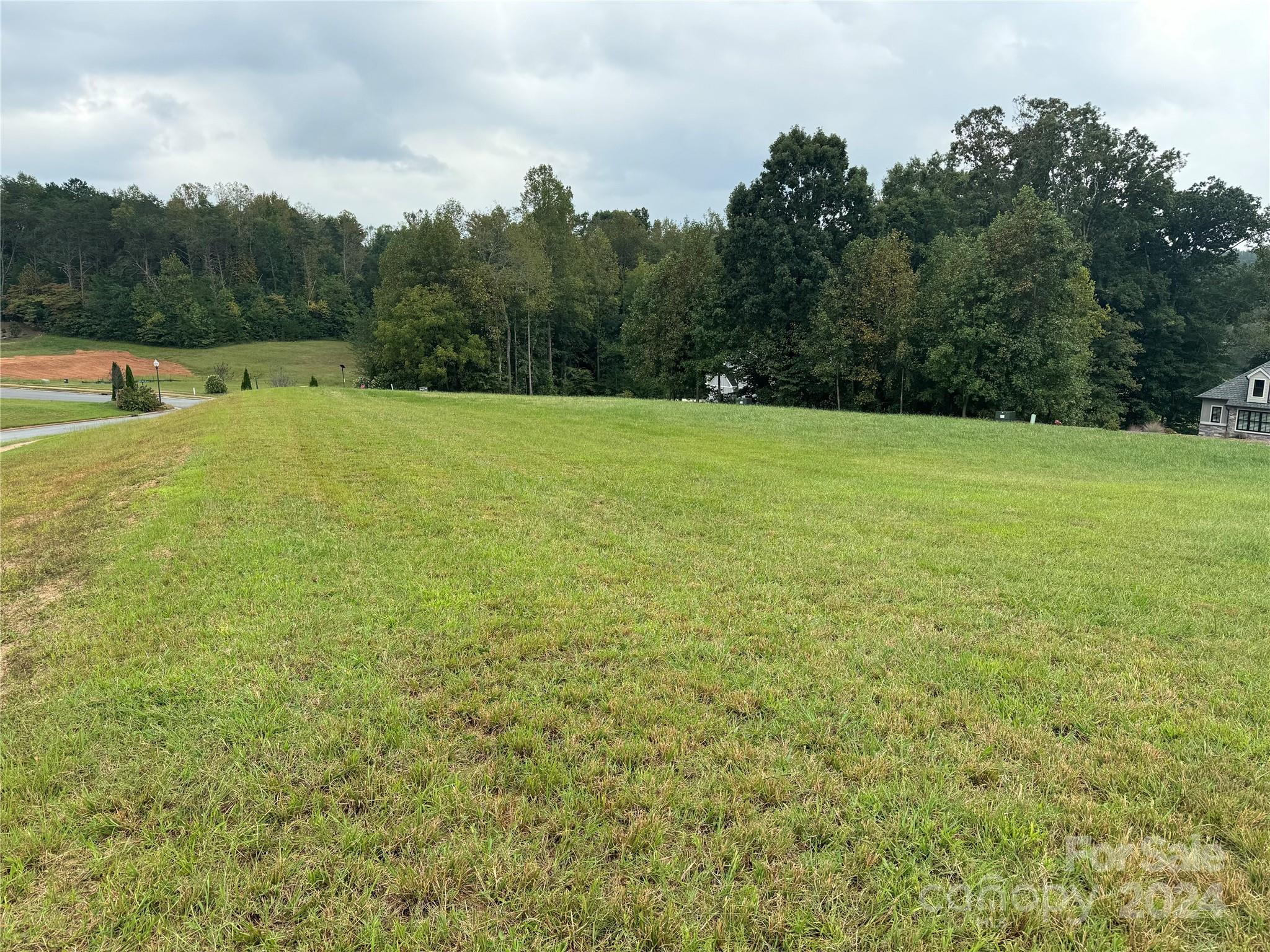 a view of a field with trees in the background