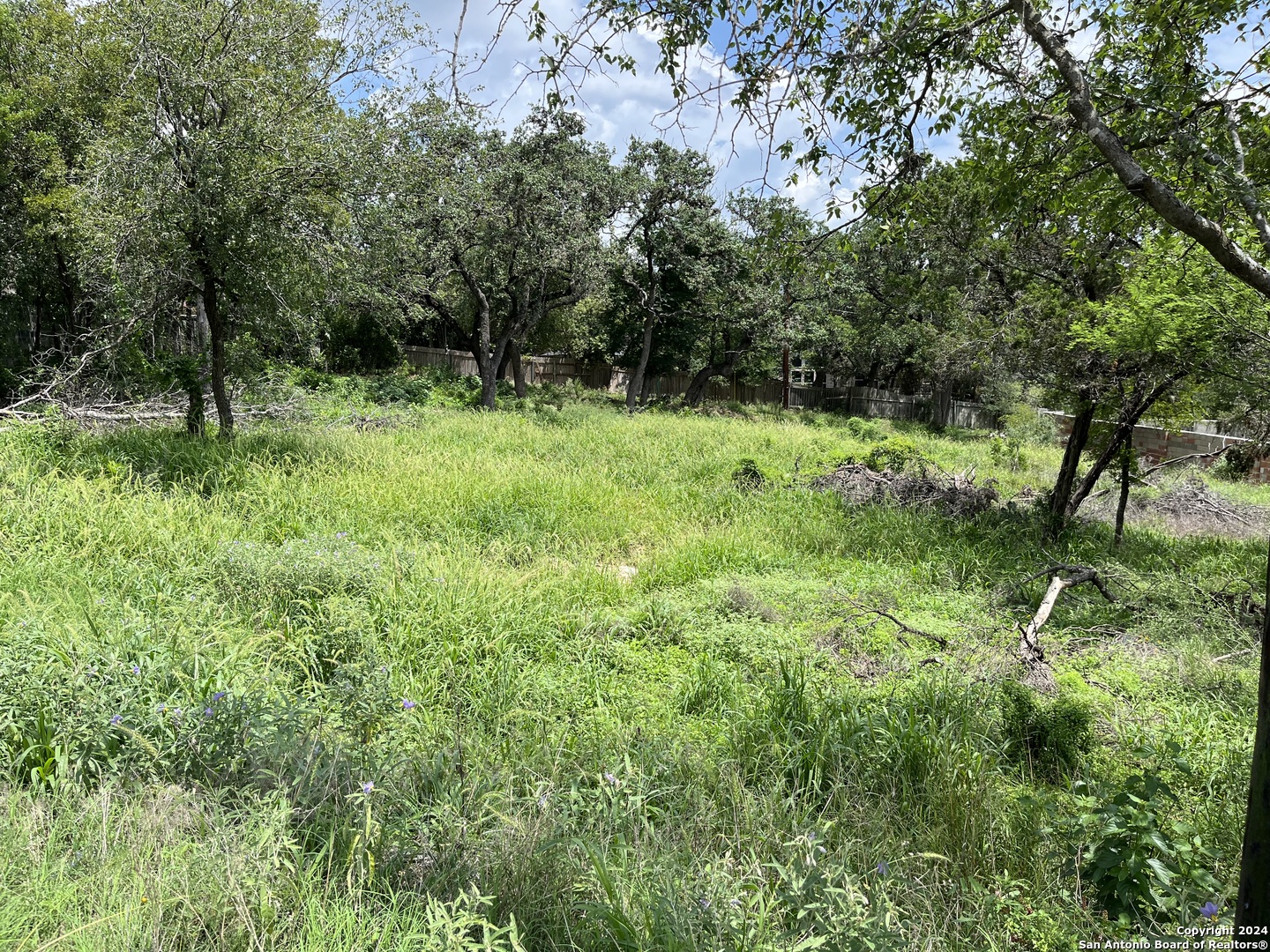 a view of outdoor space and green space