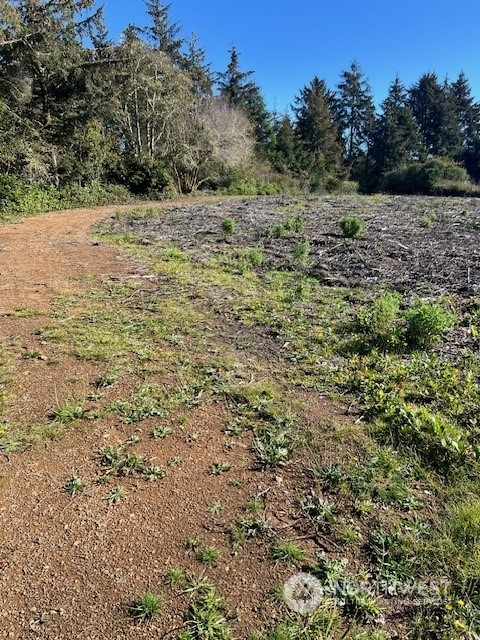 a view of outdoor space and trees