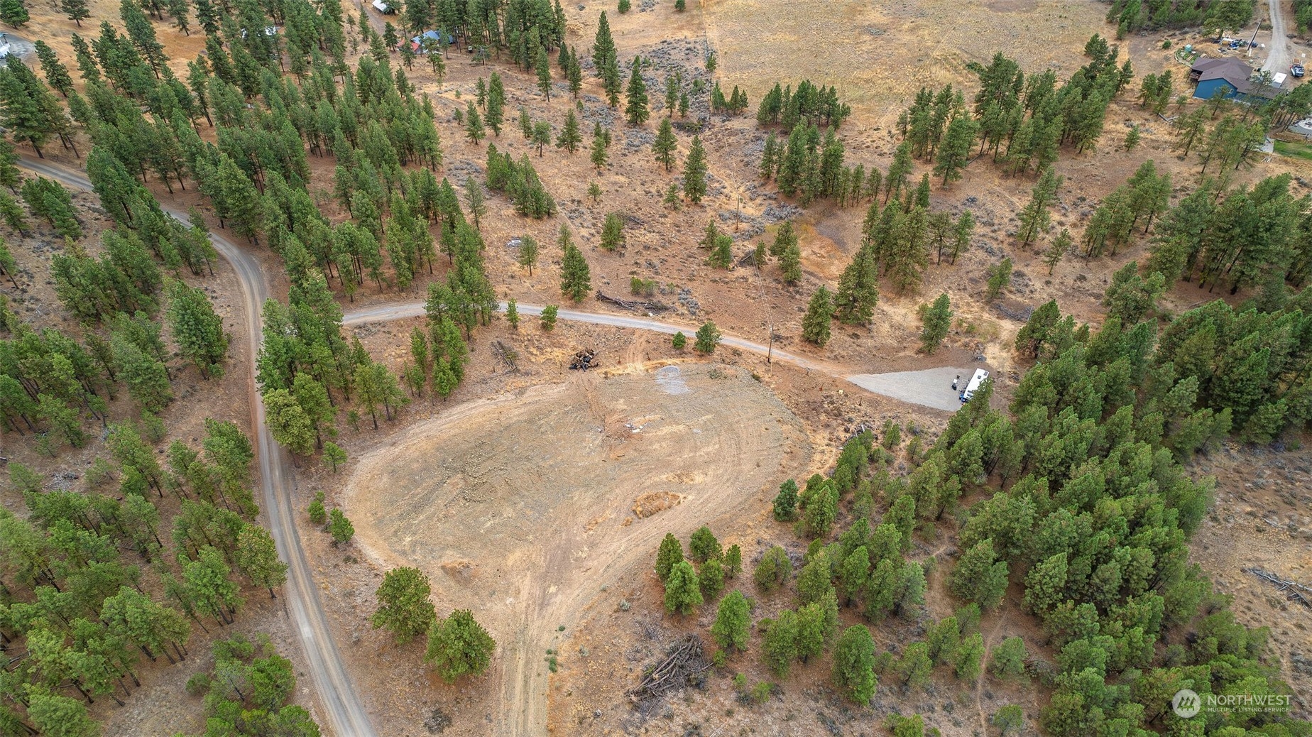 a view of a yard with trees