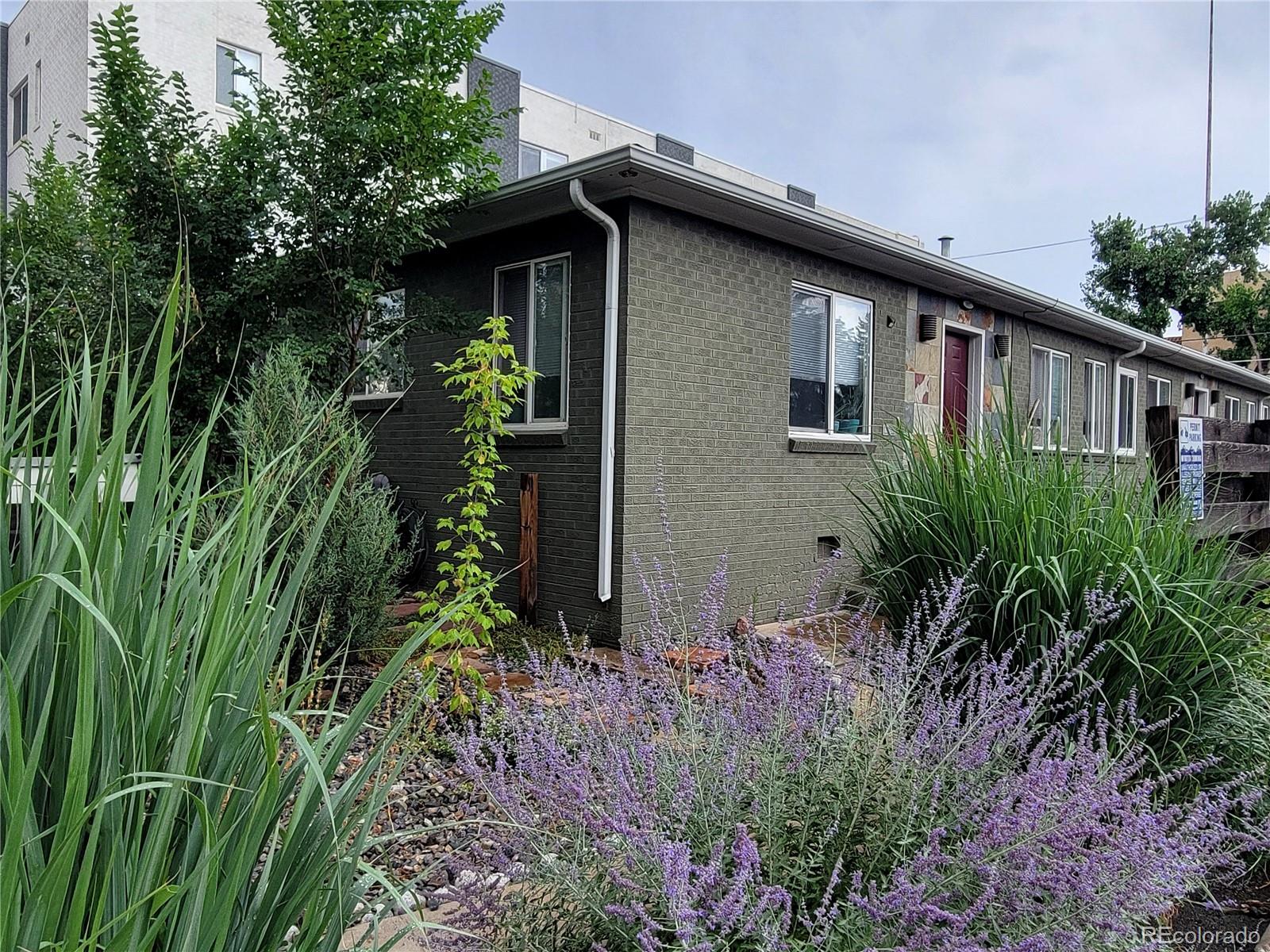 a view of a backyard with plants