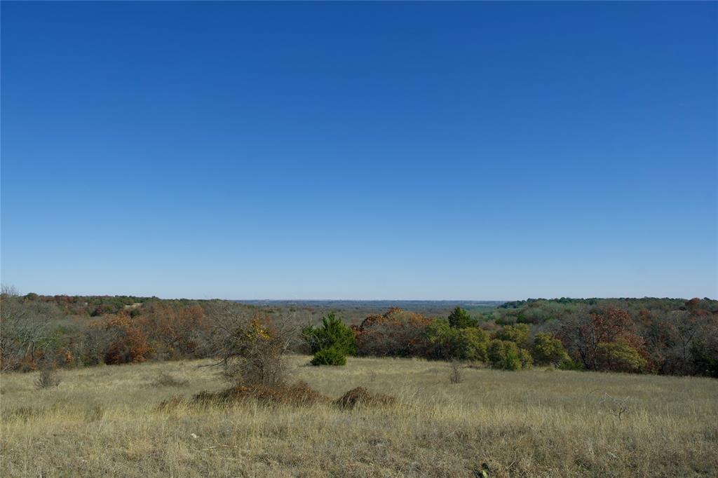 a view of a field with trees in background