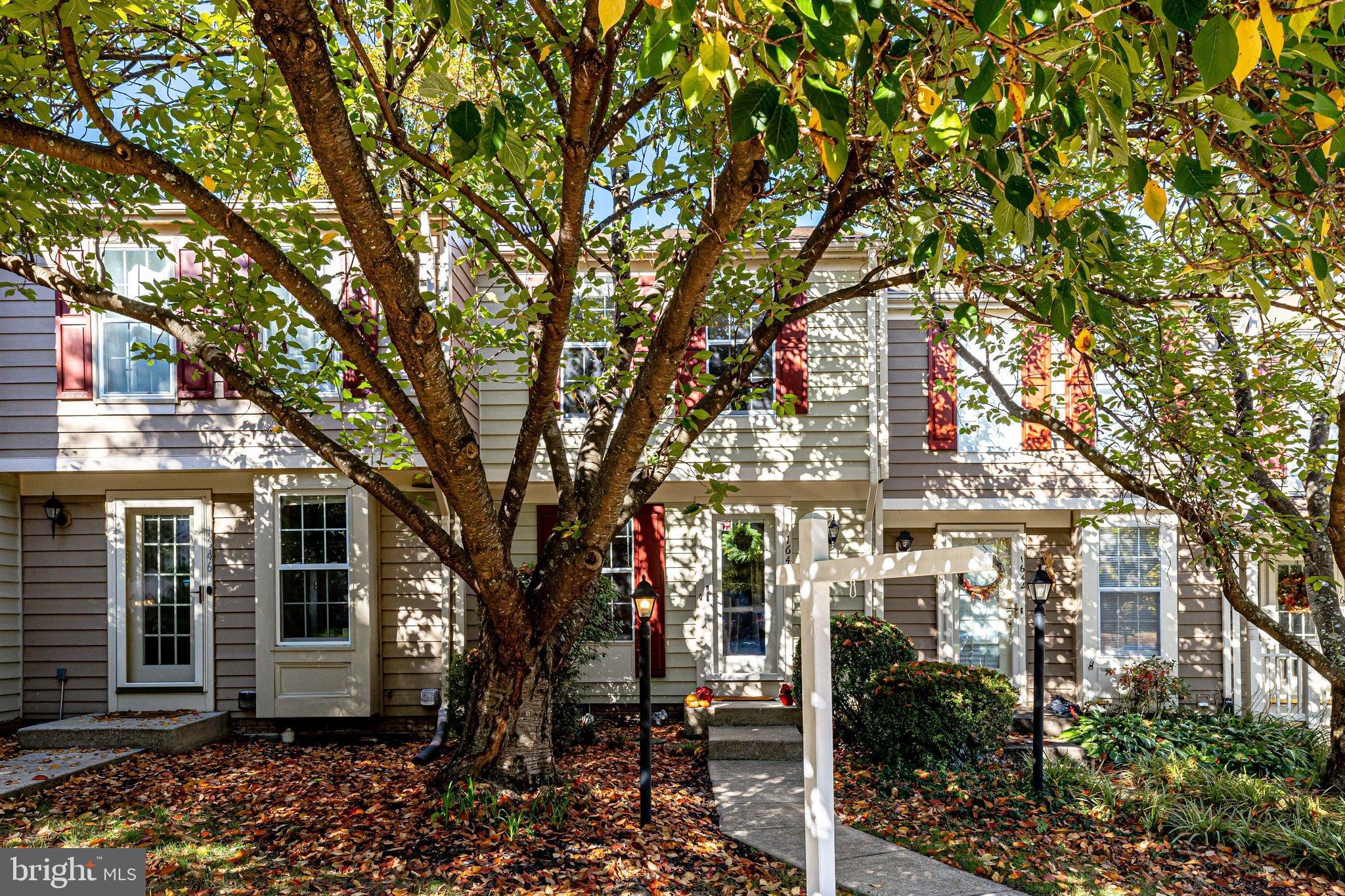 a view of a house with a tree