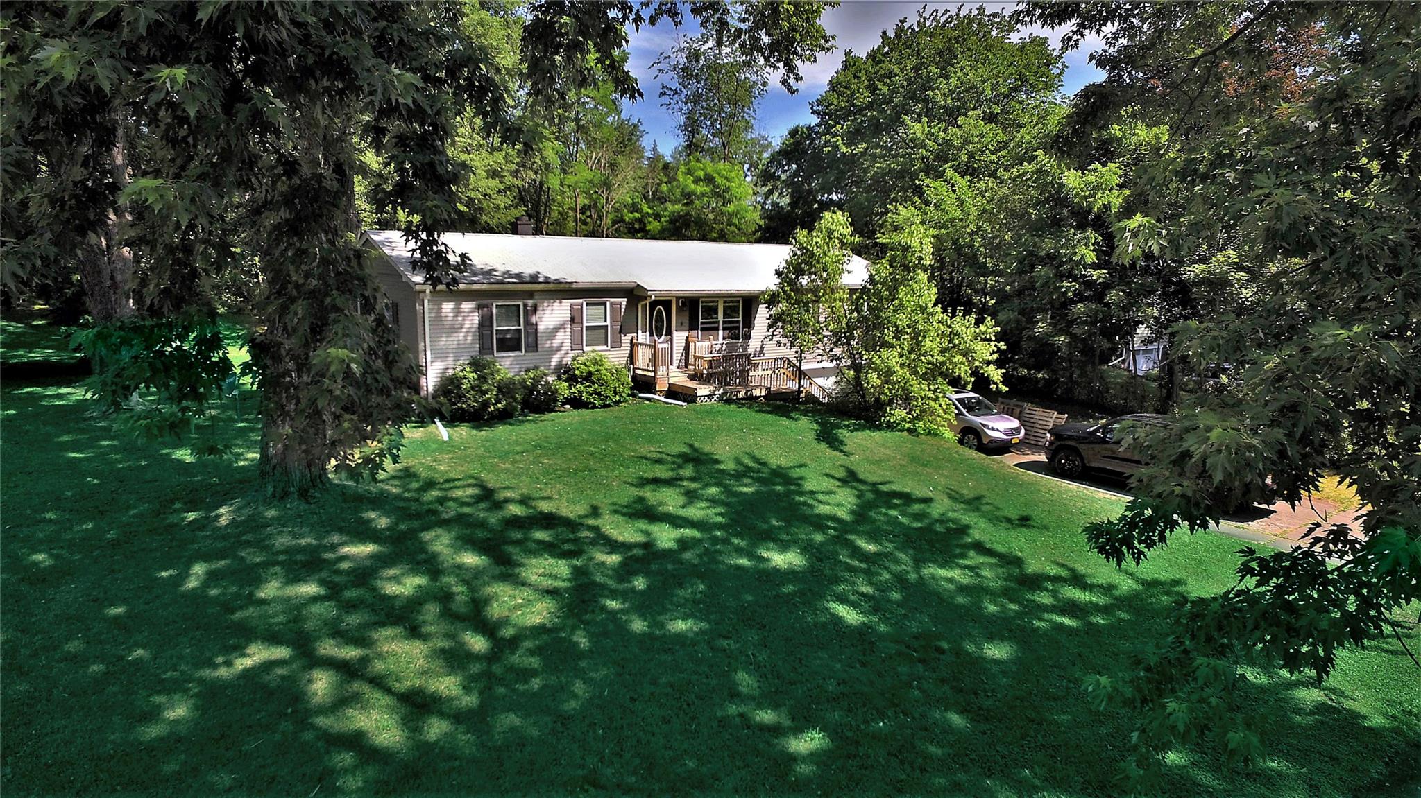 a view of a big yard with plants and large trees