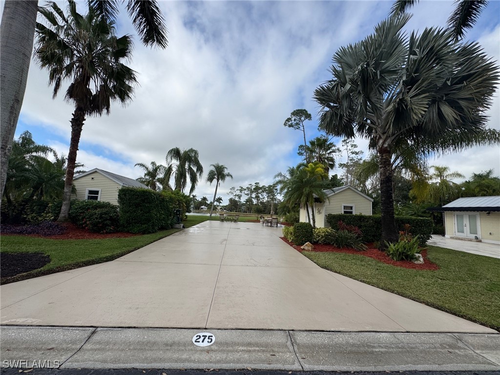 front view of house with palm trees