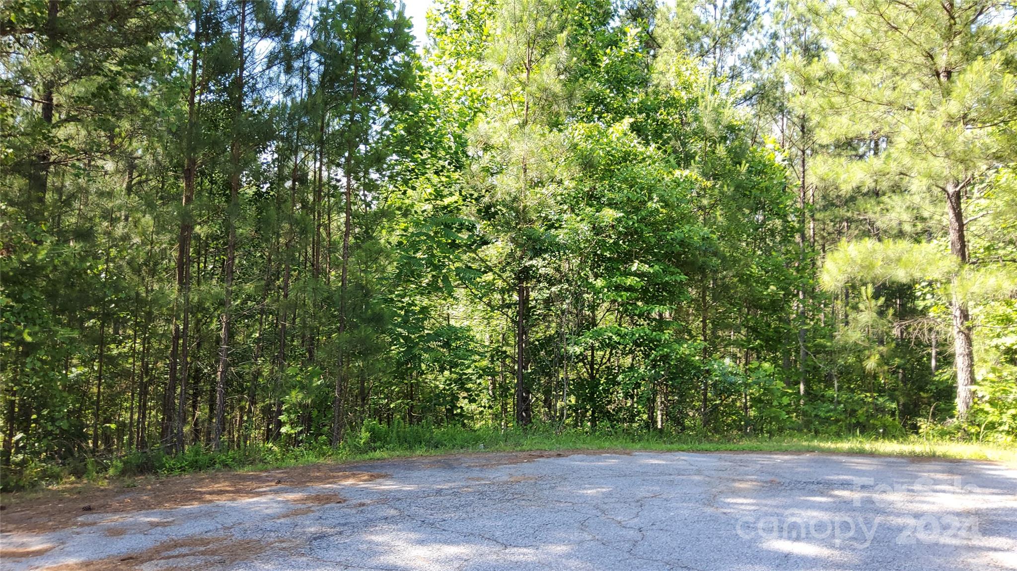 a view of a yard with a trees