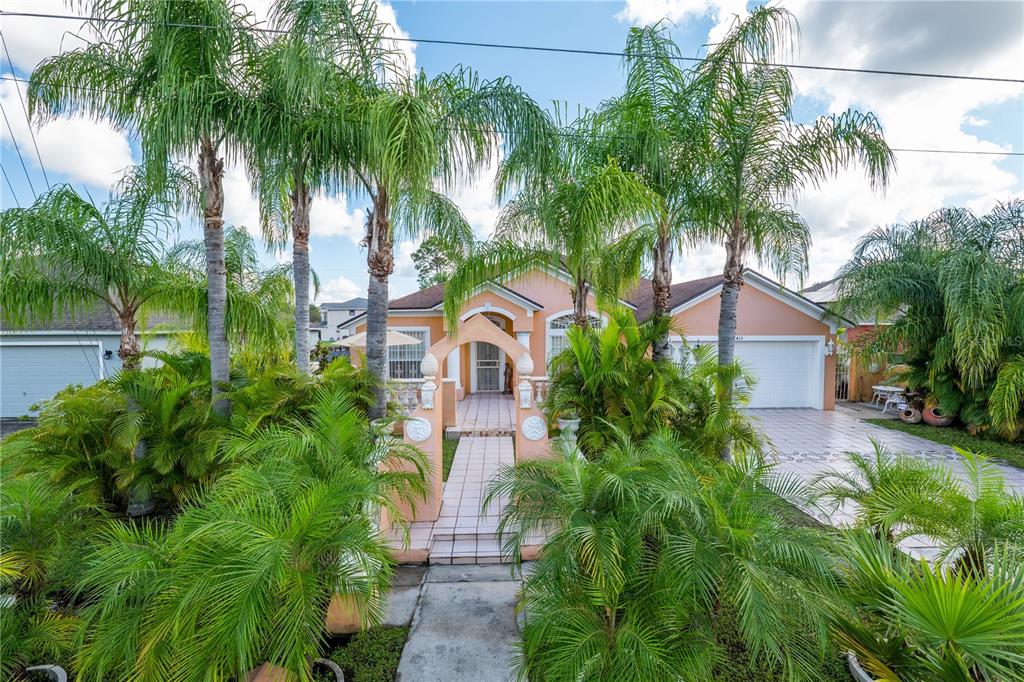 a view of a garden with a palm trees