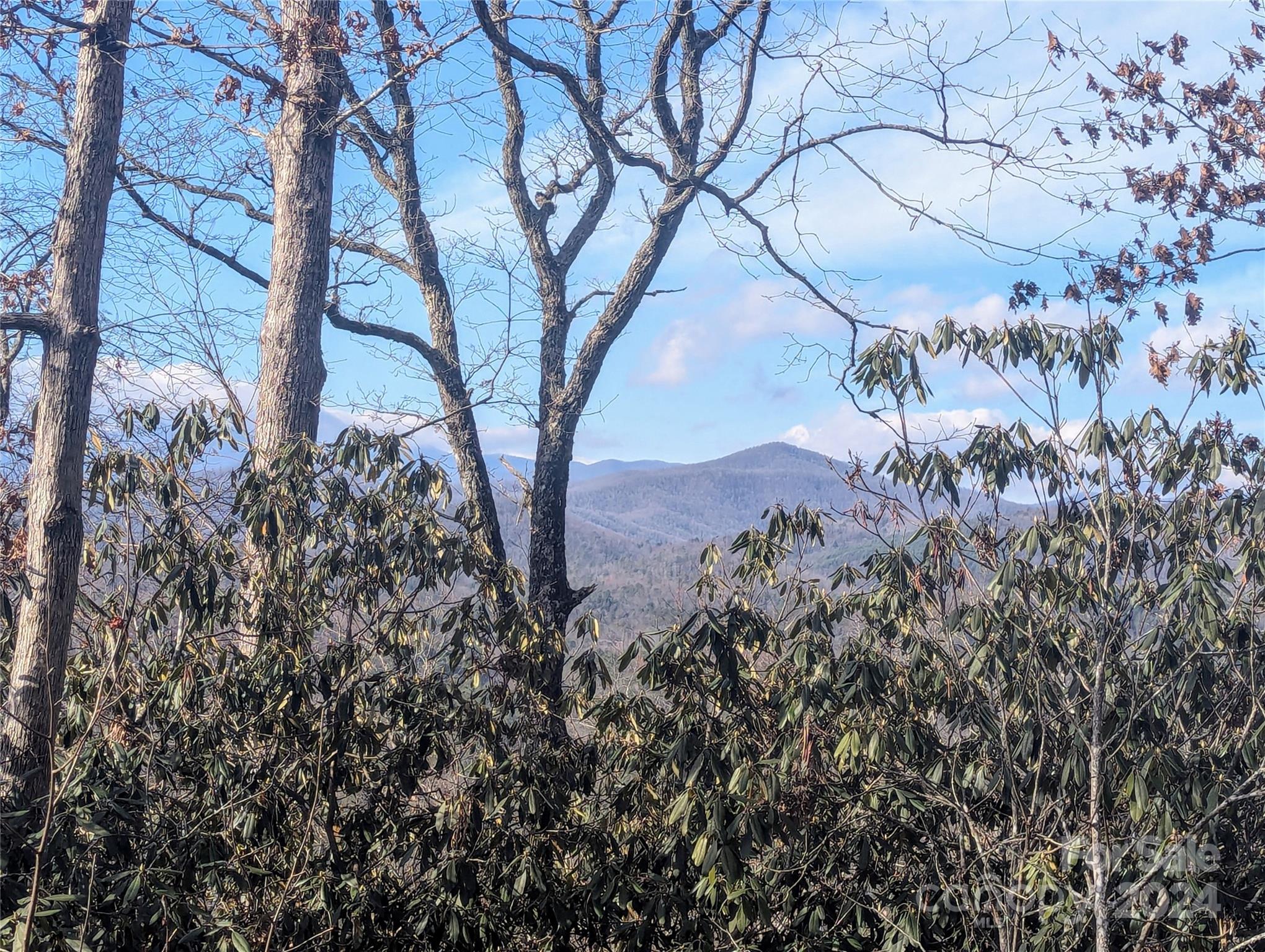 a view of a yard with a tree