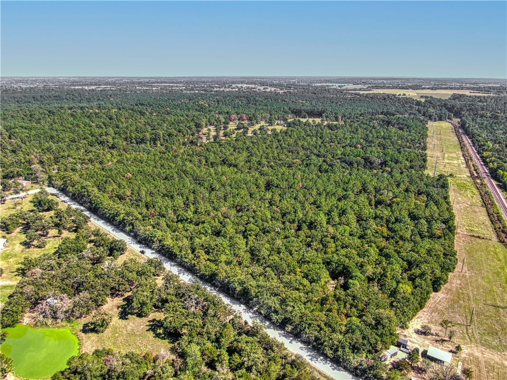 a view of a city with lush green forest