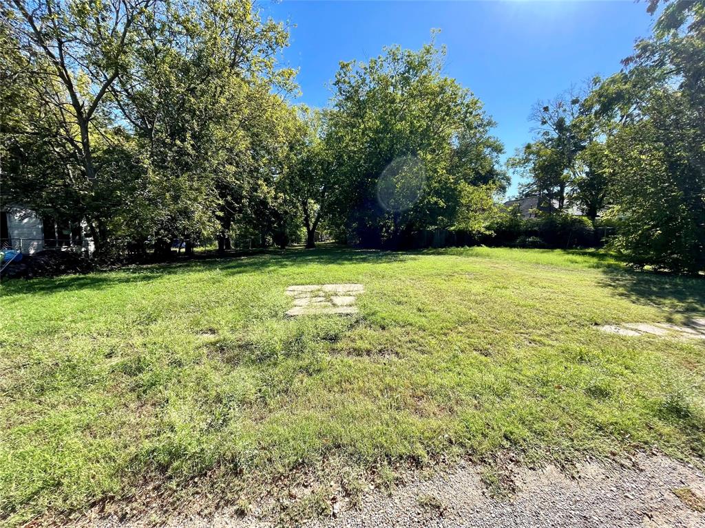 a view of a yard with a trees