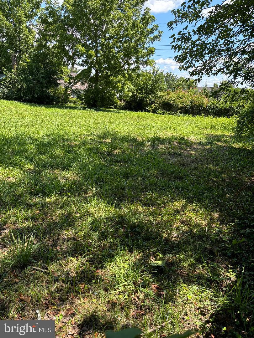 a view of outdoor space and yard