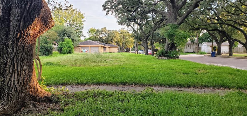 a view of backyard of house with green space