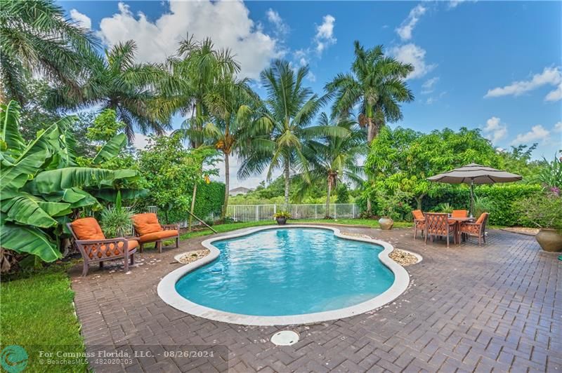 a view of a backyard with swimming pool