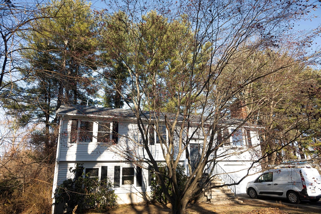 front view of a house with a trees