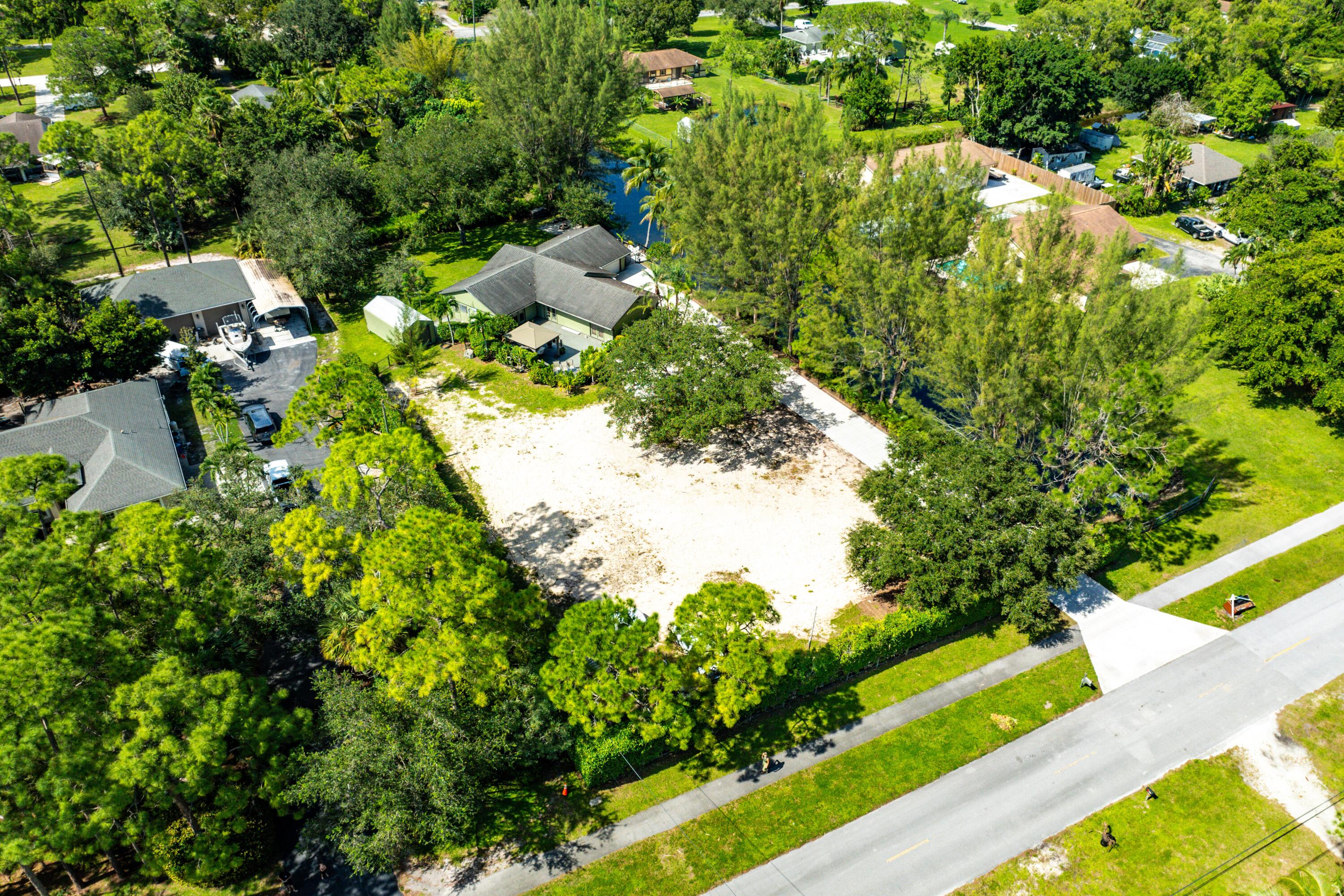 a view of a garden with plants and large trees