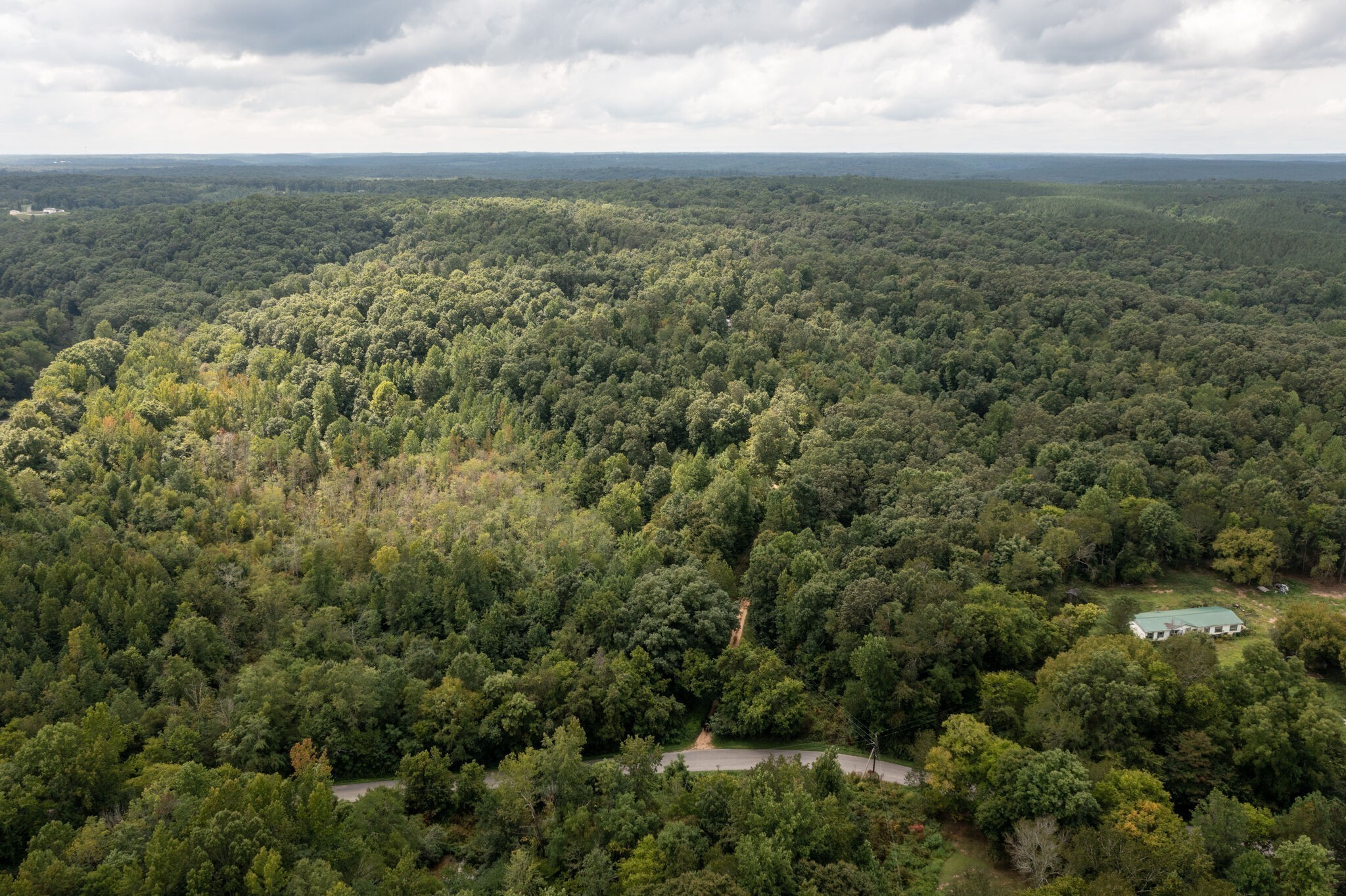 an aerial view of forest