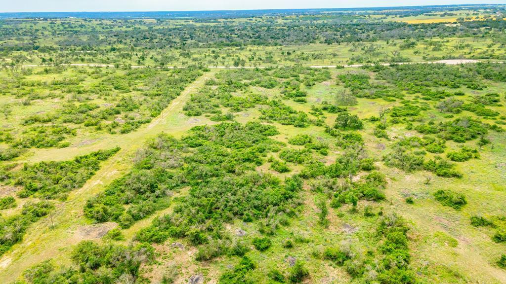 a view of a green field with lots of bushes