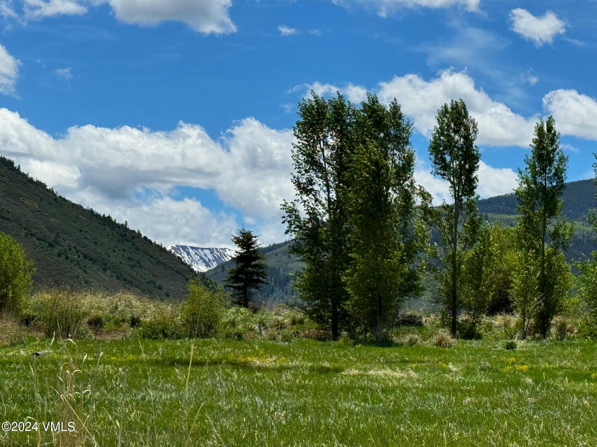 a view of a green field with lots of green space