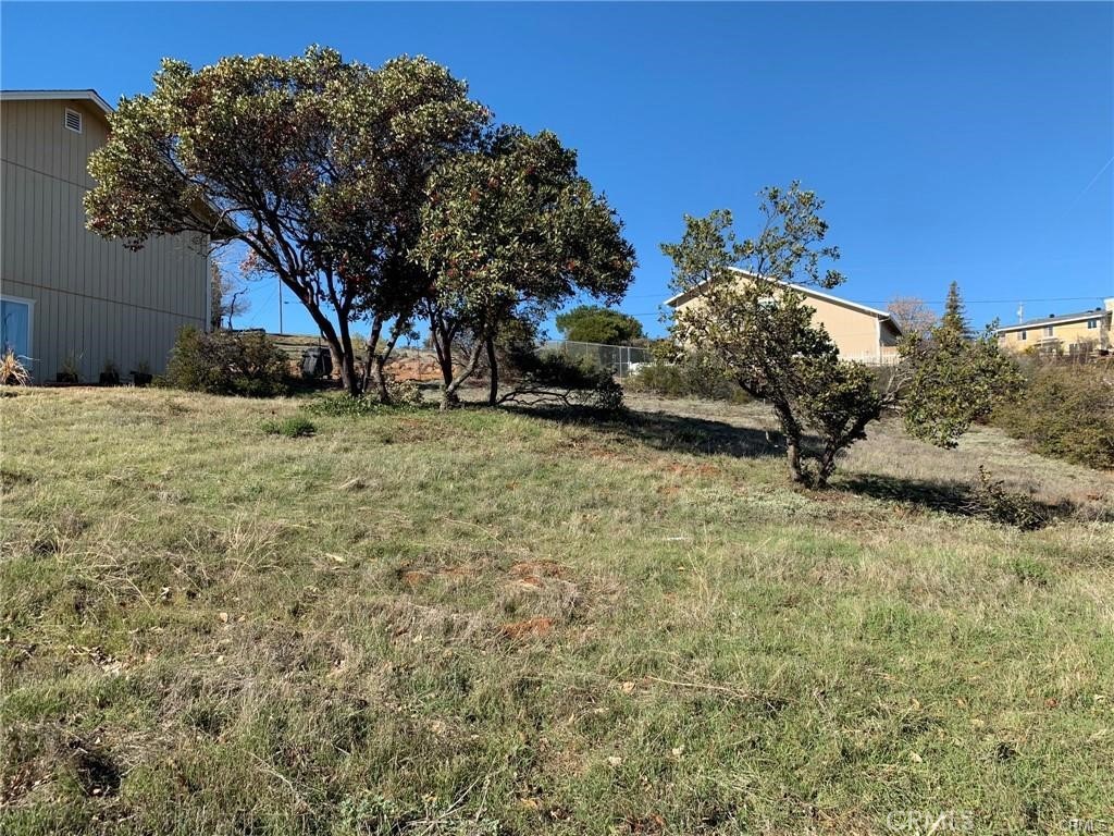 a view of a yard with a tree