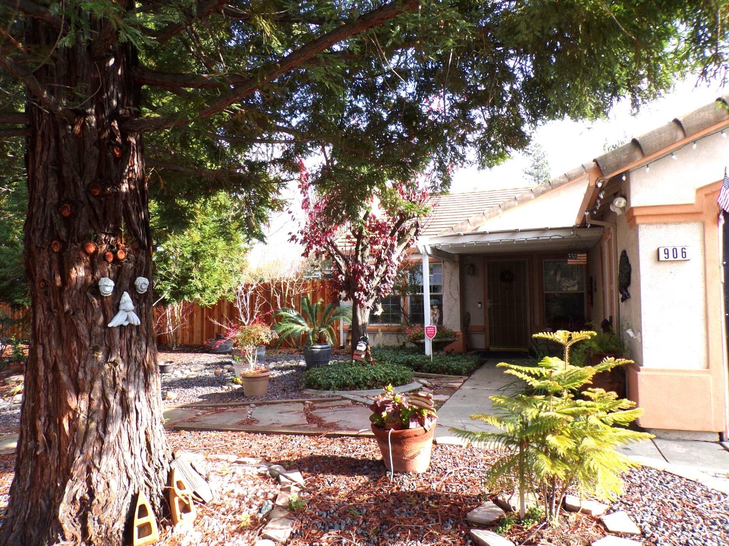 Front yard with low maintenance plants with drips.