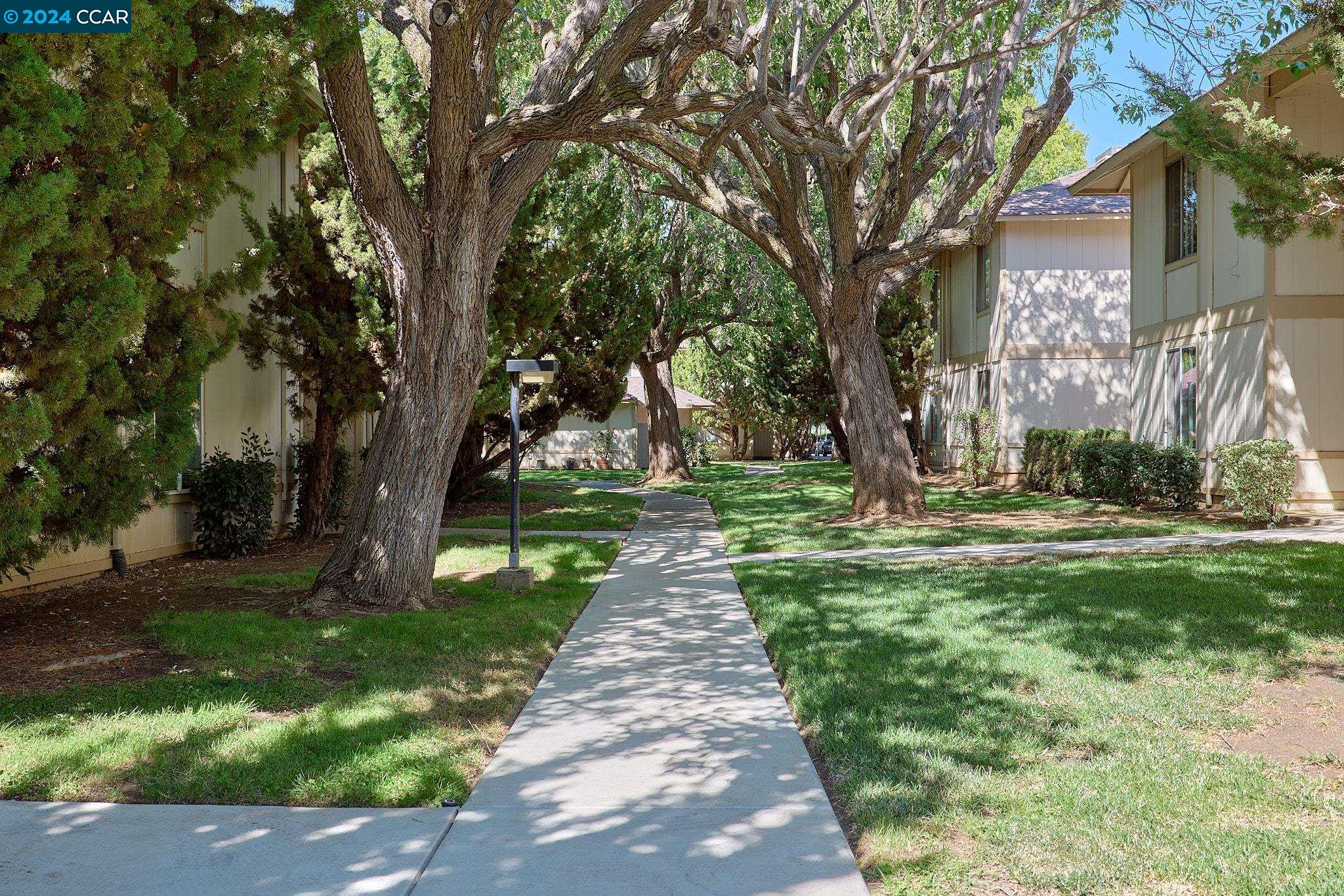 a pathway of a yard with plants and trees