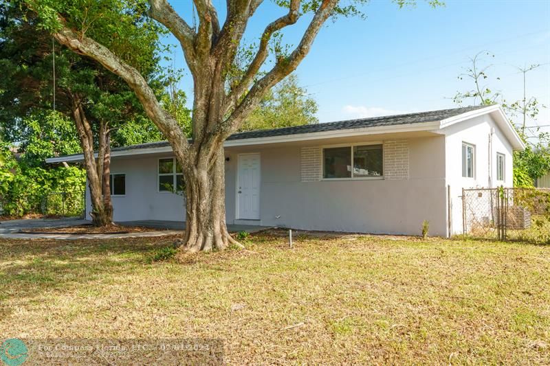 a house that has a tree in front of it