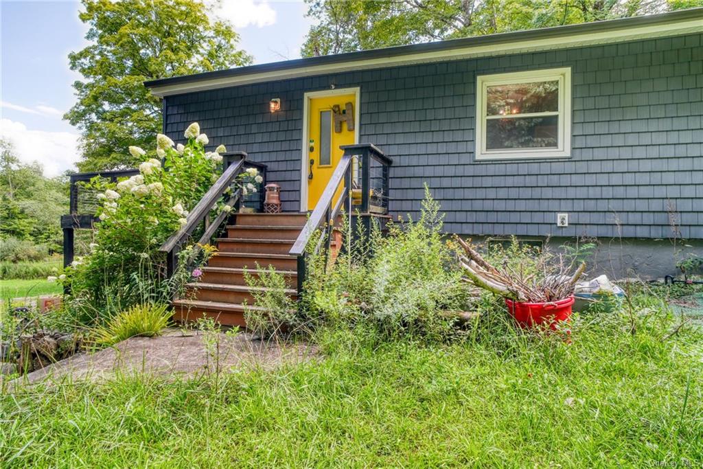 a backyard with plants and large tree