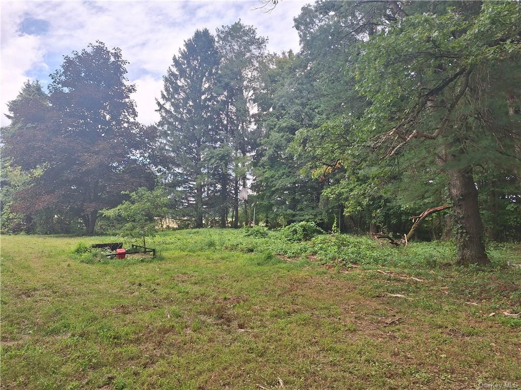 a view of outdoor space and yard