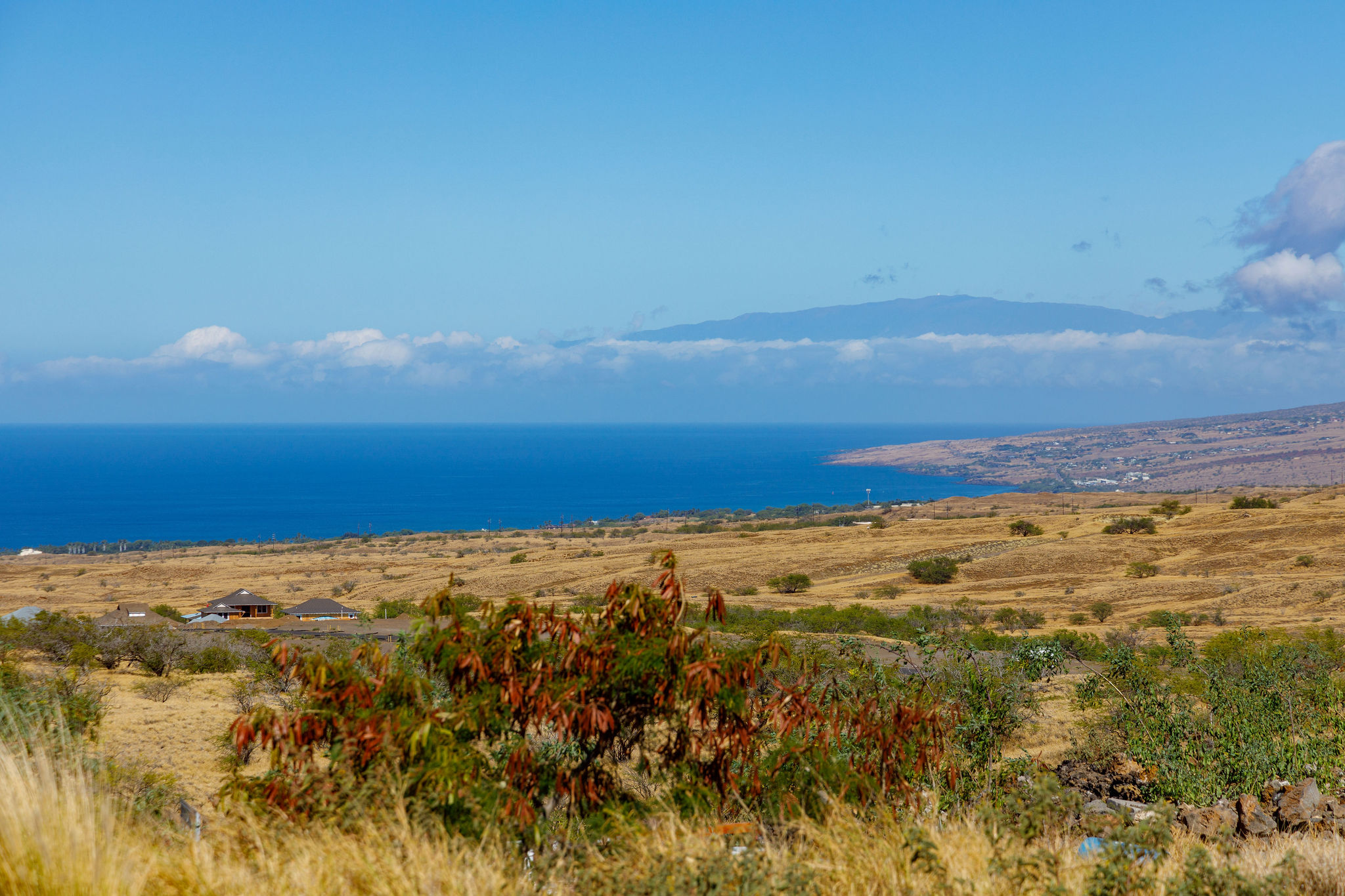 a view of an ocean