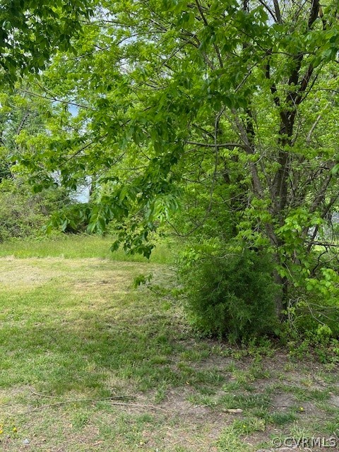 a view of yard with green space