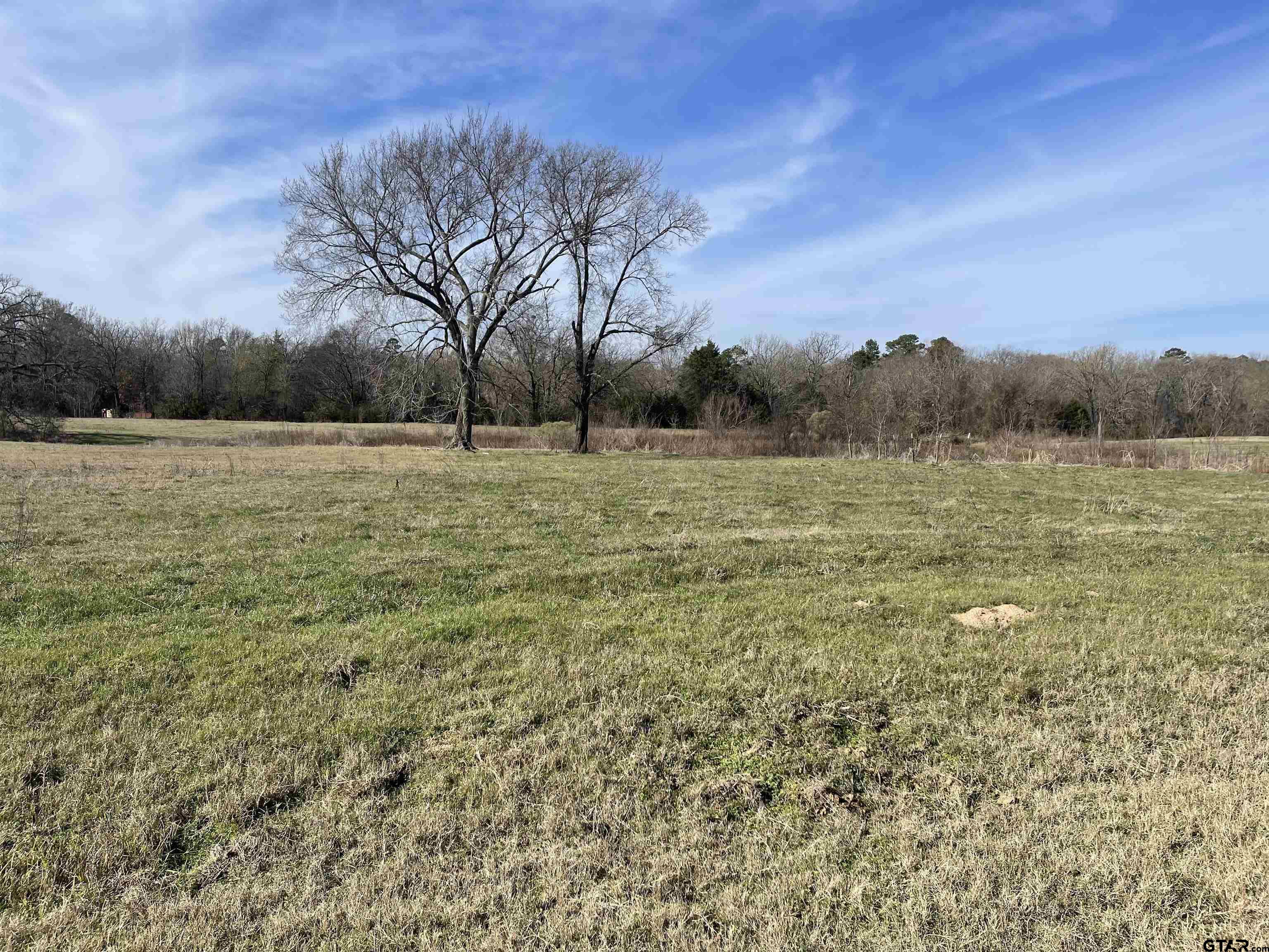 a view of field with trees in background