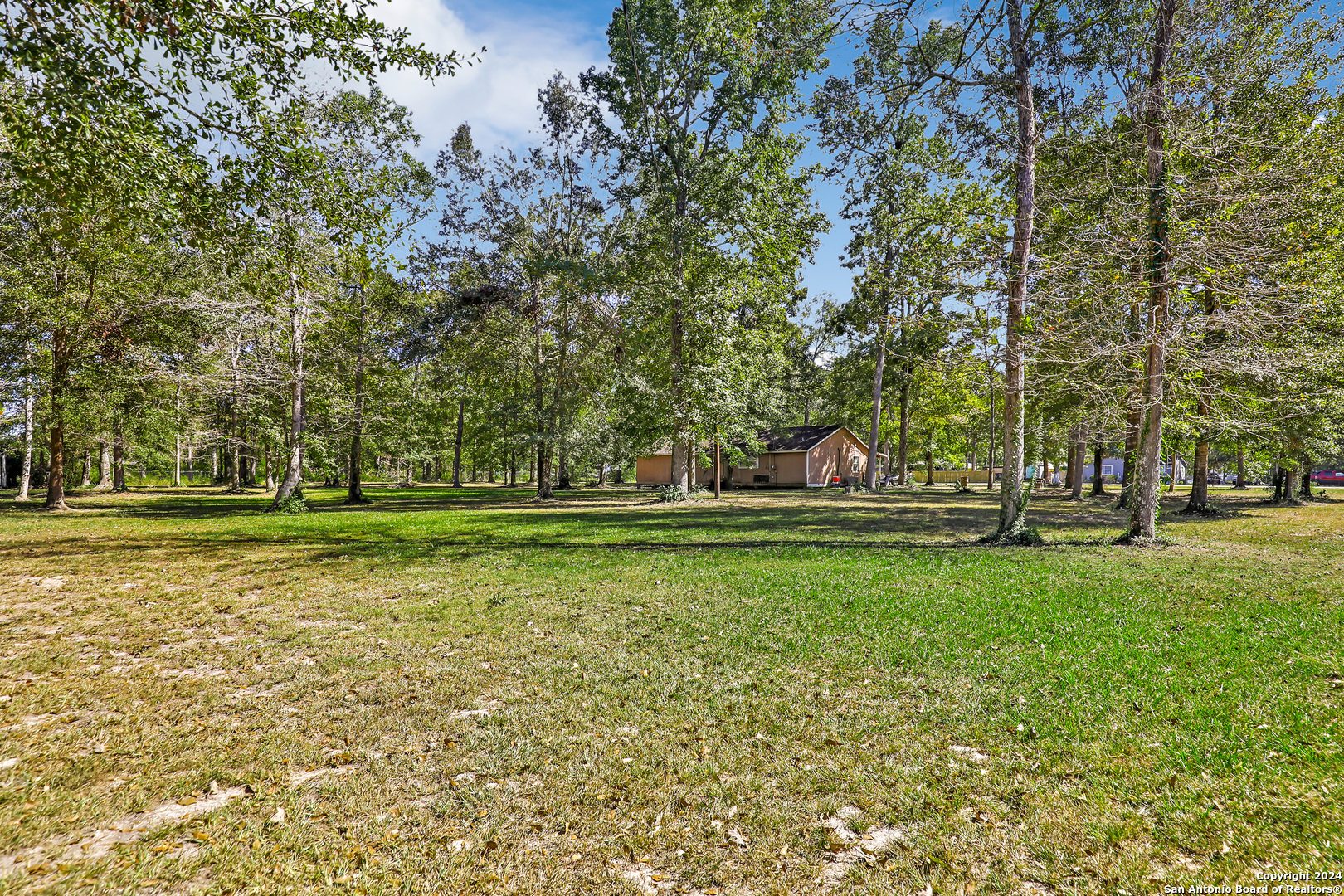 a garden view with trees