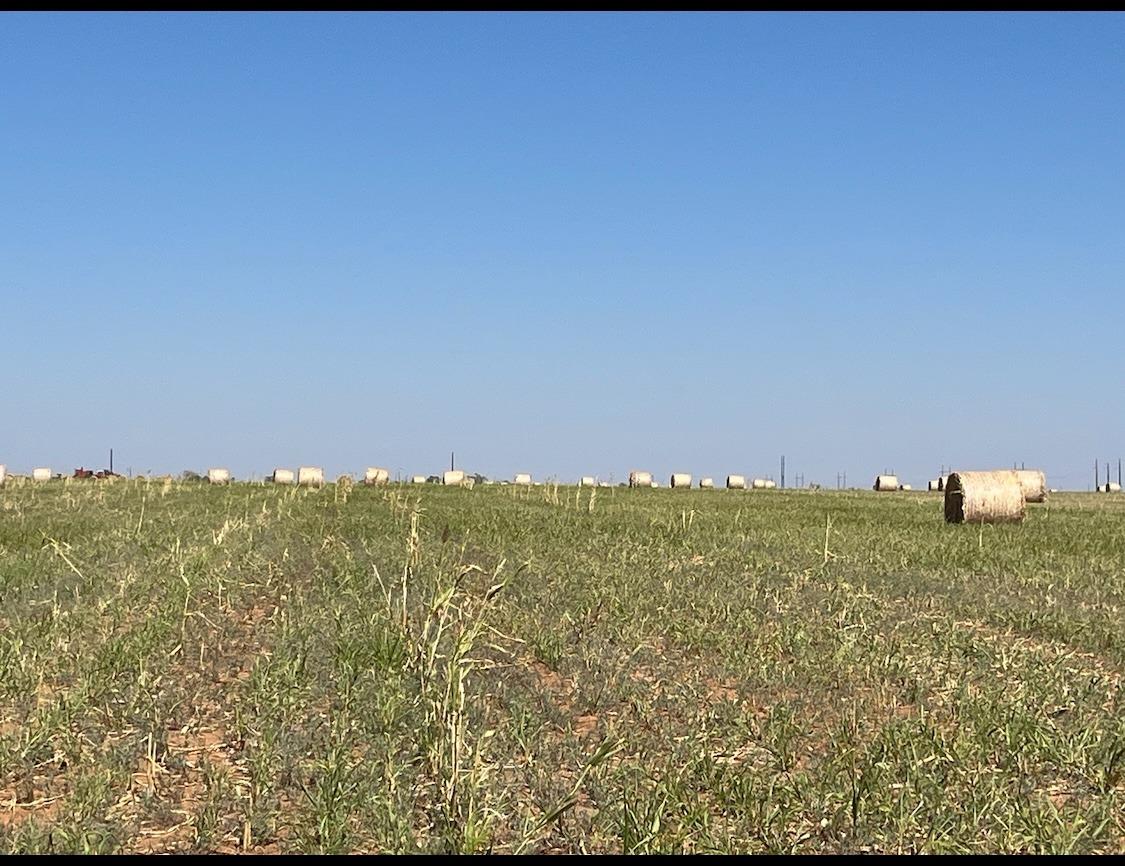 a view of a field with an buildings in the background