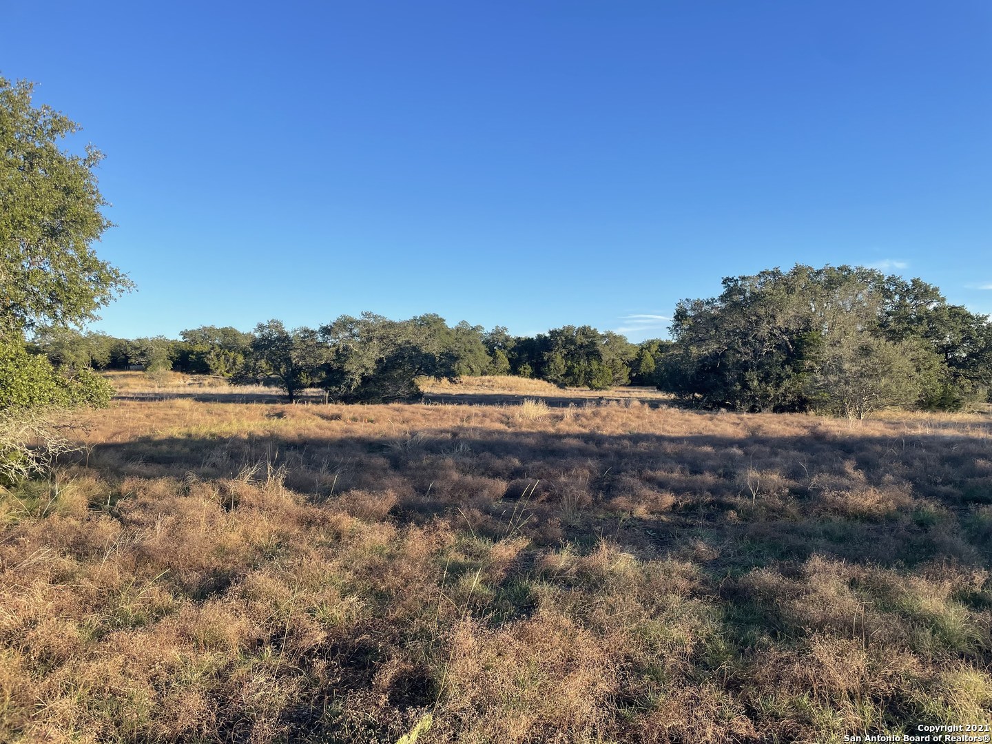 a view of dirt yard and a large tree