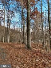 $50,000 | 0 High Road | Butler Township - Schuylkill County