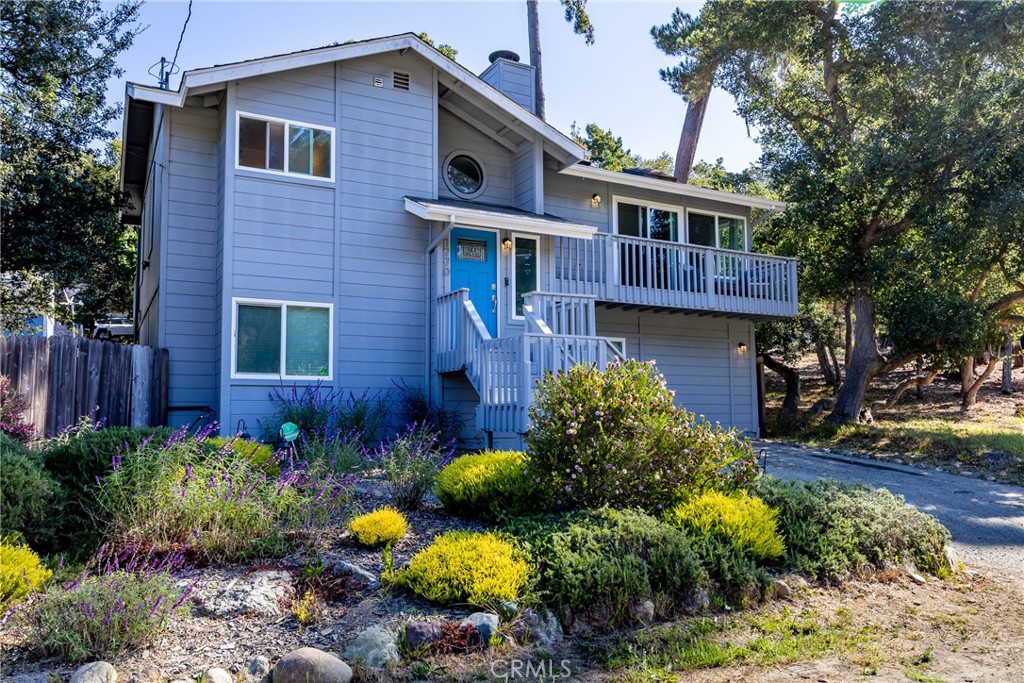 a front view of a house with a yard and covered with plants