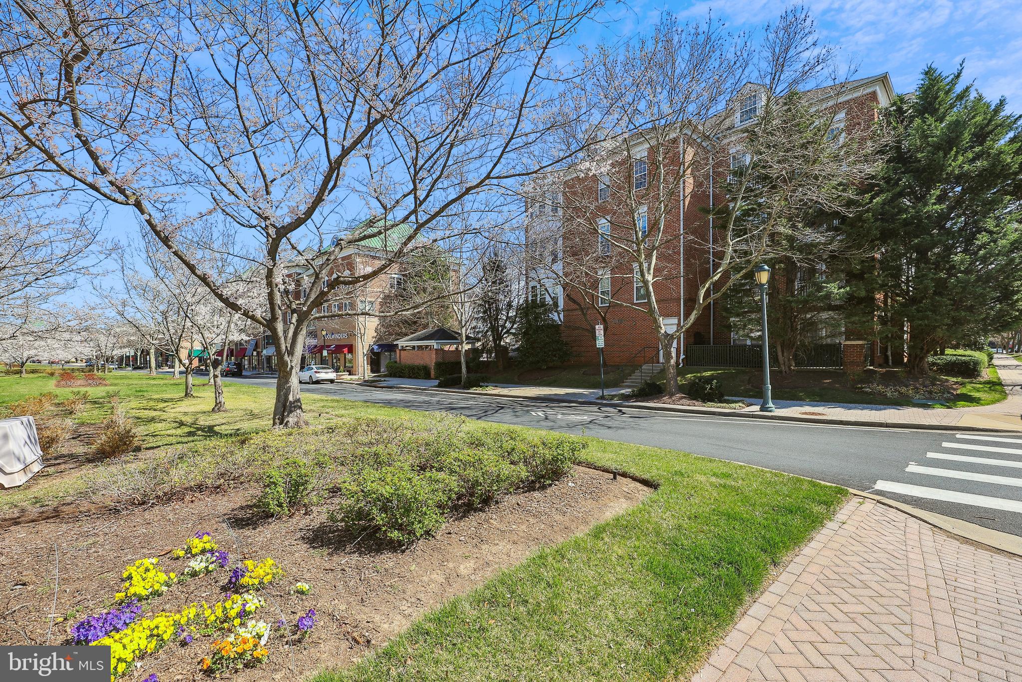 a view of a garden with houses