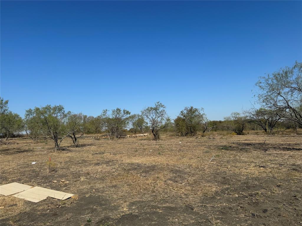 a view of dirt field with trees in background